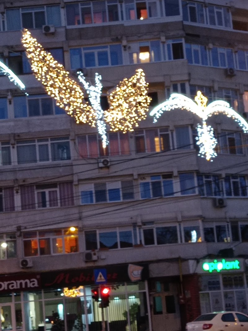 DECORAMA S.R.L.