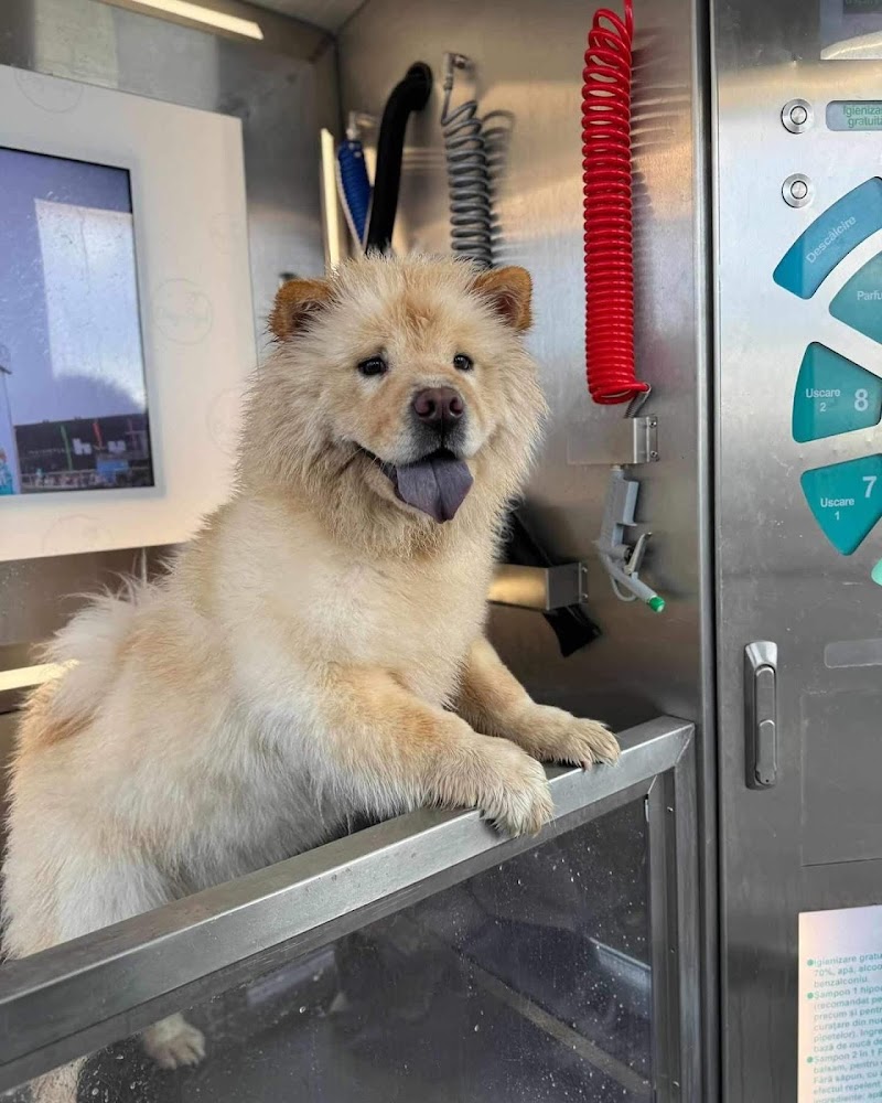 Dog Spa Covasna (Spălătorie Câini Self Service)