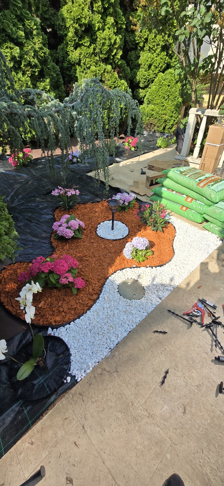Ecora-Jardin Amenajări grădini Constanța, rulouri de gazon