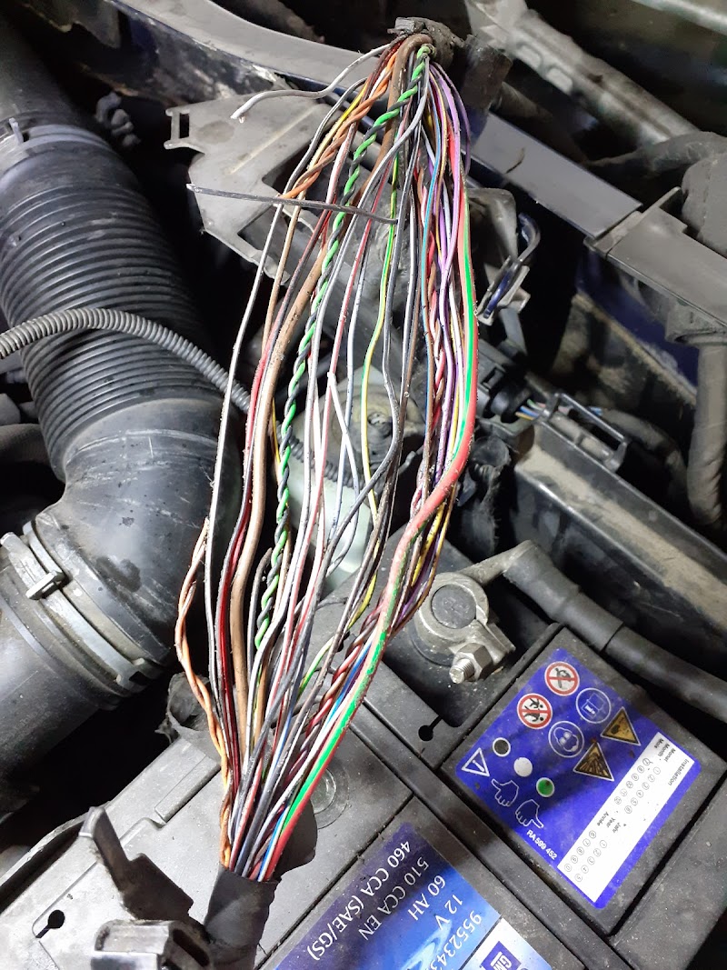 Electrician auto - Sergiu