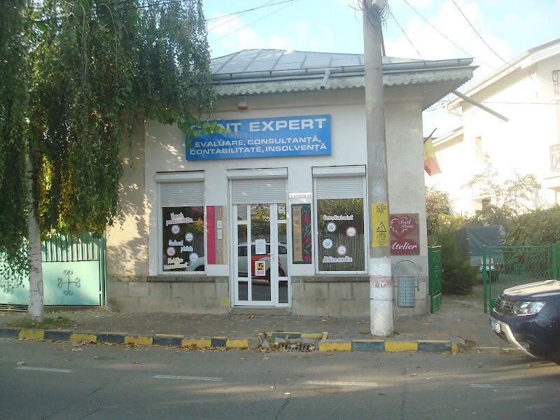 Expert appraiser Radu Nicolae Cobzaru