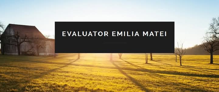 Expert evaluator, MATEI EMILIA