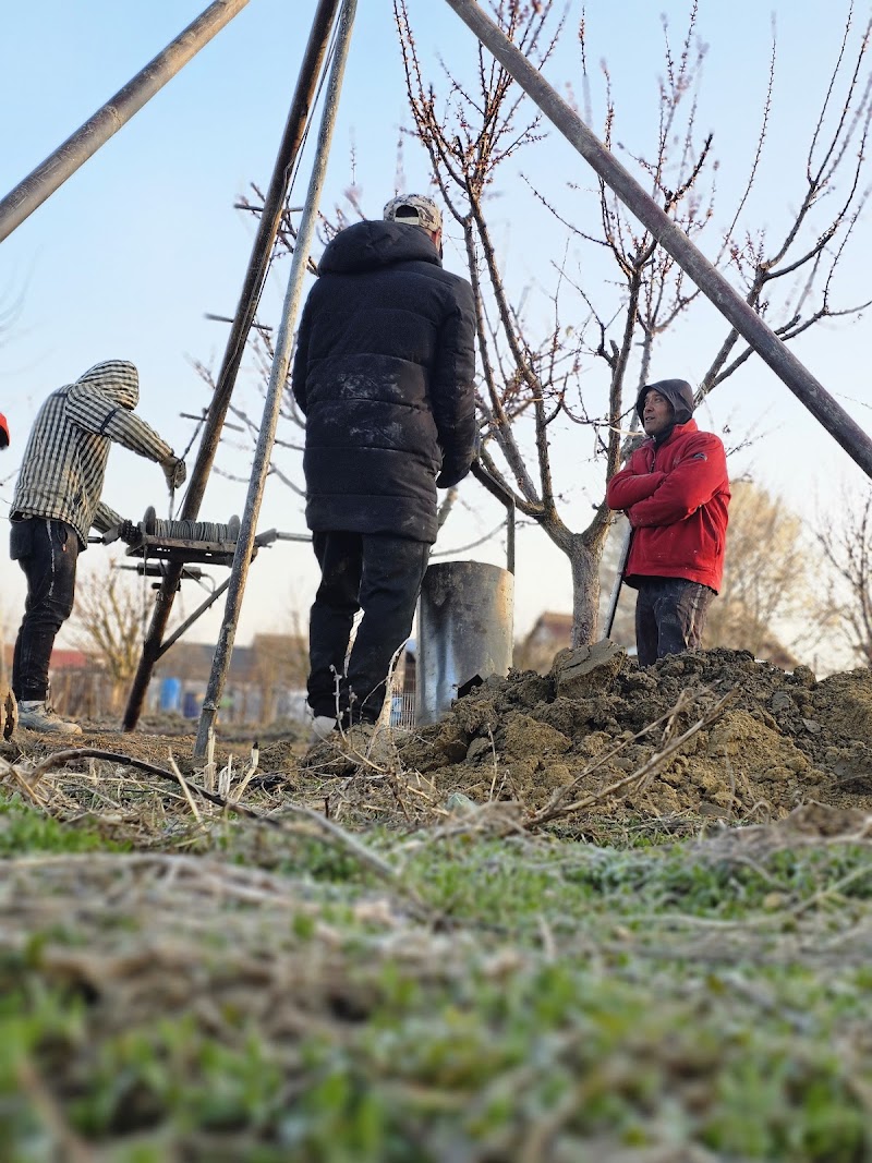 Foraje Puturi Craiova