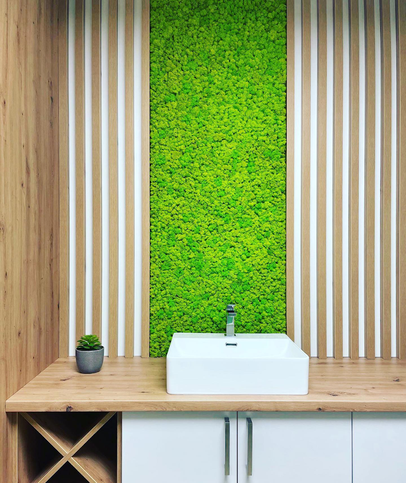 Frena Design - Decorațiuni cu Licheni și Mușchi Naturali Stabilizați, Licheni și Mușchi Vrac Premium