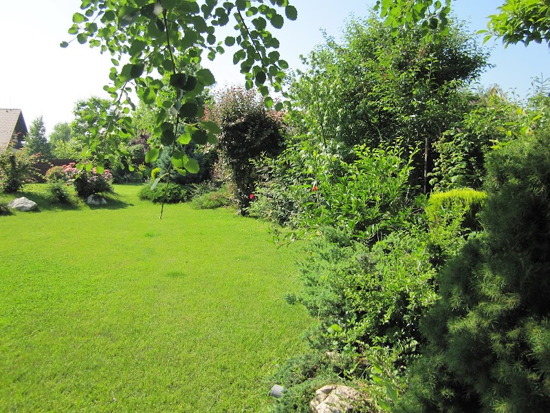 gardentonica