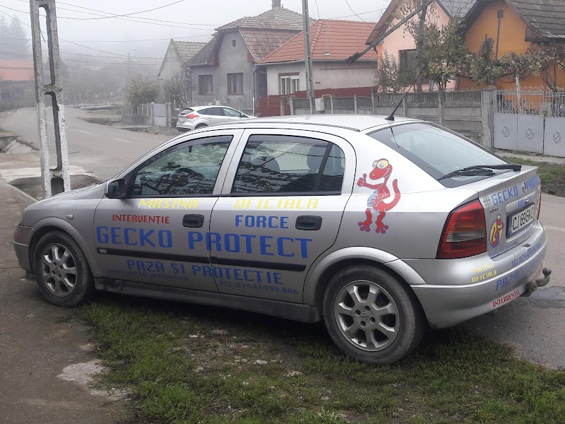 Gecko Protect Force - Firmă de pază, protecție și securitate din Cluj -