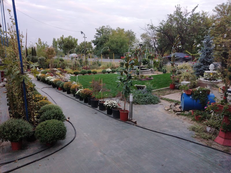 GradinaMea Șendreni