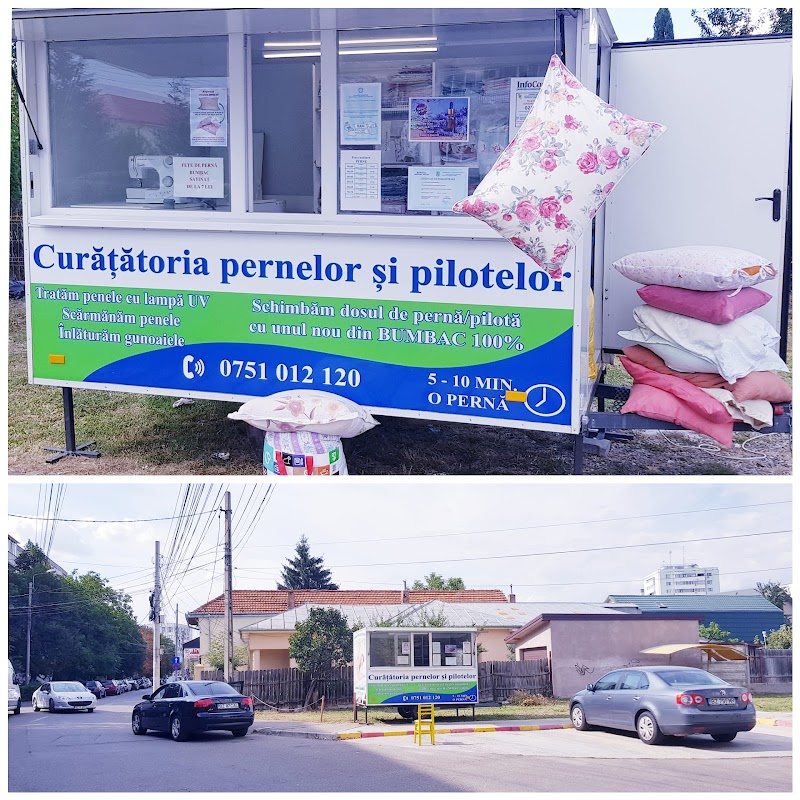 Gâscanul Kisky - Curatatoria pernelor si pilotelor