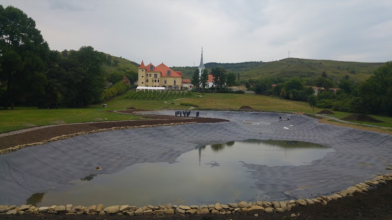 Hydroizolatii Mures Srl