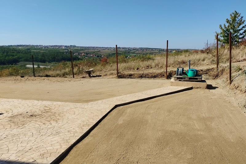 Inchirieri miniexcavator / BOBCAT, Oradea, Bihor