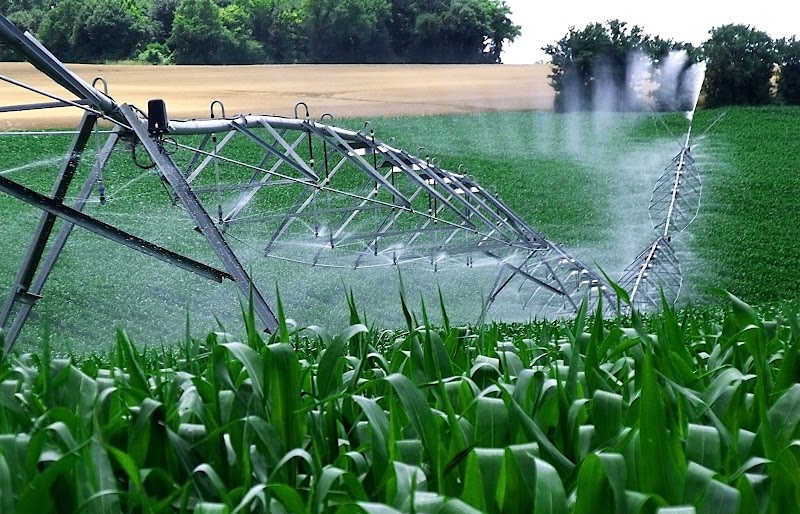 Irrifrance