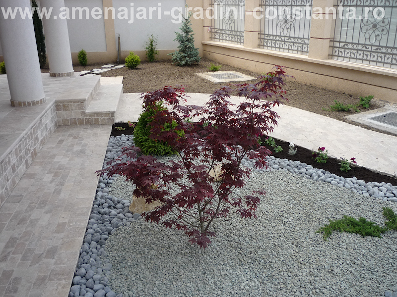 IXORA PROD-SERV - Amenajari gradini Constanta