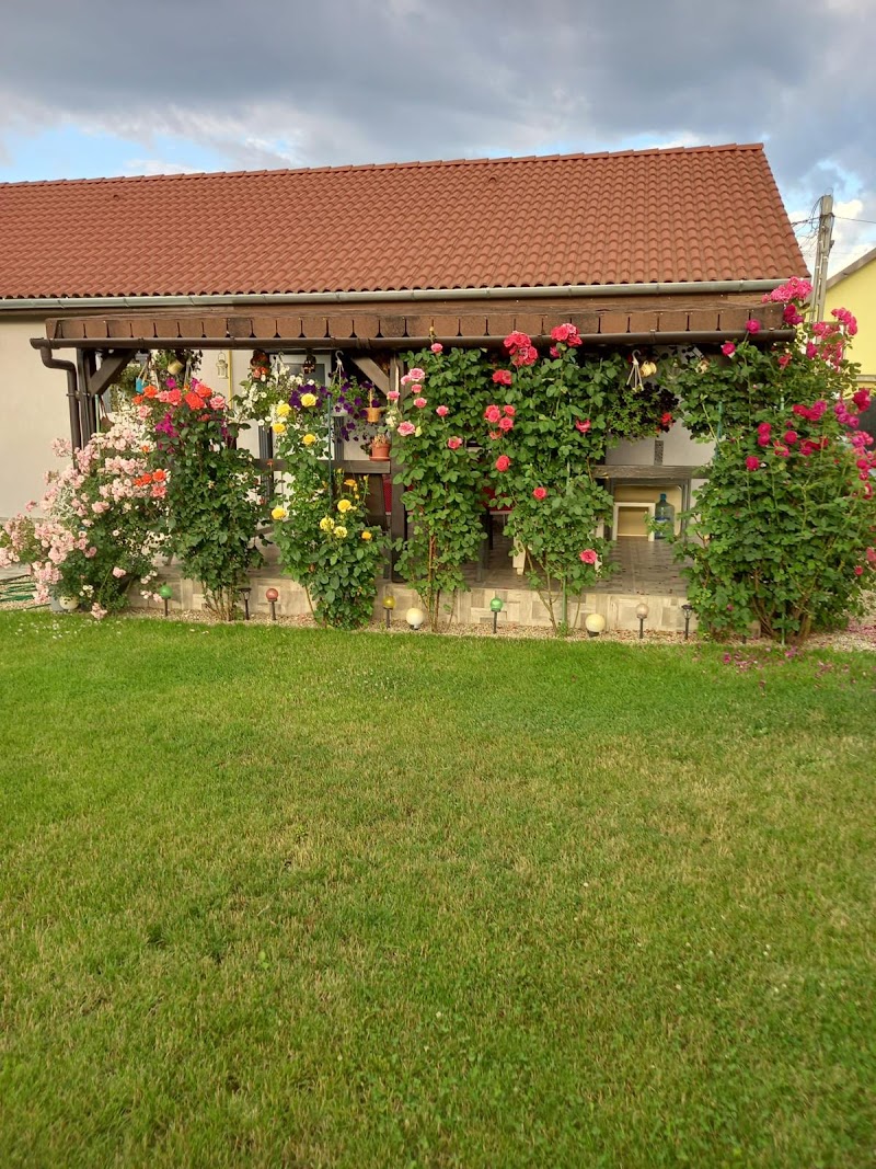 La Bairelu Spatii Verzi