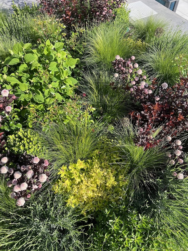 Les Jardins de Zoé - Amenajări grădini Constanta