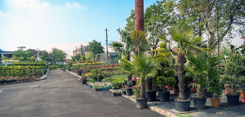 Master Garden