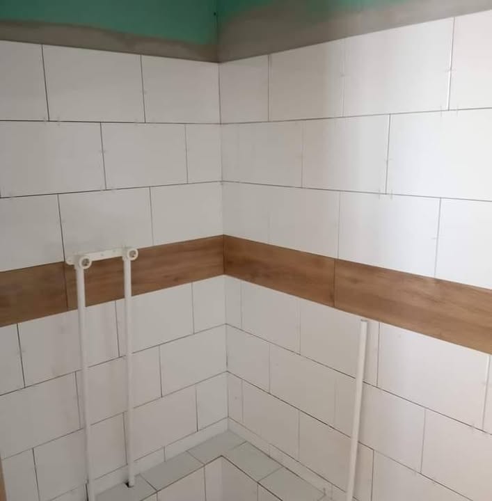 Meseriaşi Construcții Iași