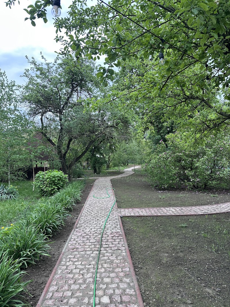 MSE NEW GARDEN-Amenajari Gradini Brasov