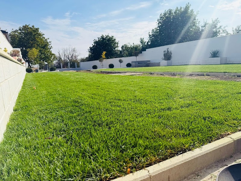 RebeGarden - Amenajari gradini si Plante Ornamentale