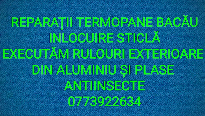 Reparații termopane Bacau