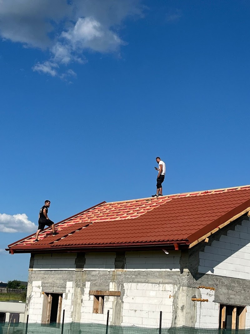 Reparatii Acoperisuri Arad Pro