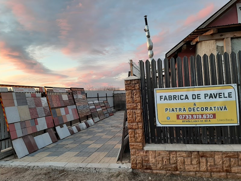 ROCADA - Pavele, Borduri, Coame, Piatra Decorativa Bacau