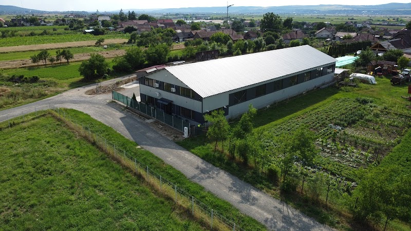 S.C. Modinvest S.R.L.