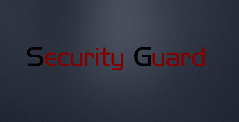 SECURITY GUARD LLC