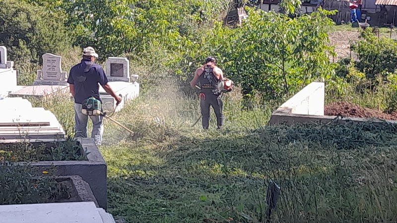 Servicii de curatenie - AGO-VI IDEAL CLEANING