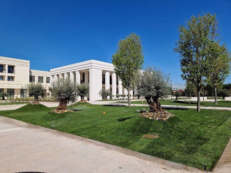 SeSe Gardens - Amenajari spatii verzi