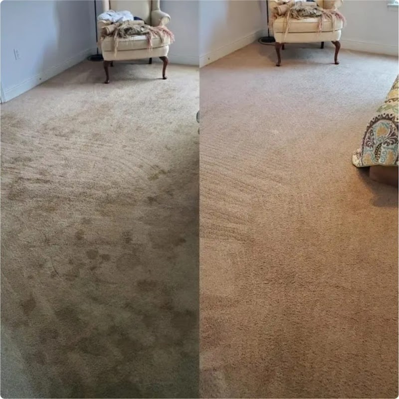 StarCleaning - Servicii de Curatenie si Gradinarit