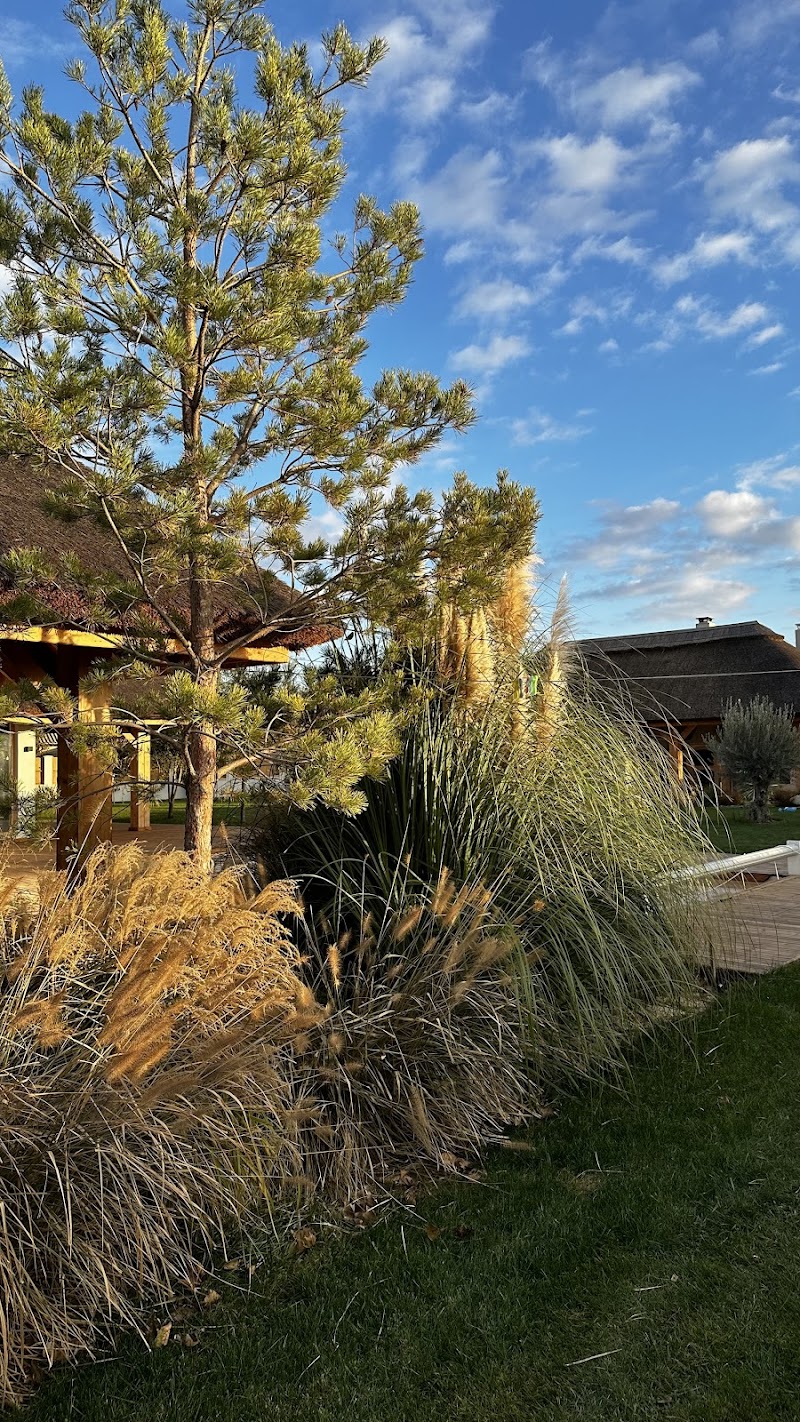 Studio Garden - Amenajari Gradini