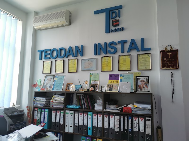 TEODAN INSTAL SRL