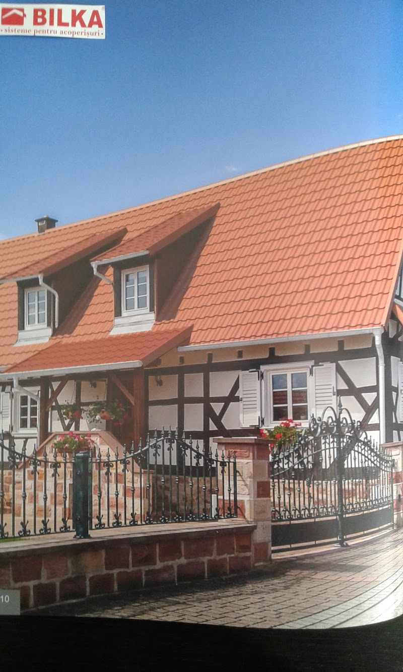 Tigla Metalica Bilka