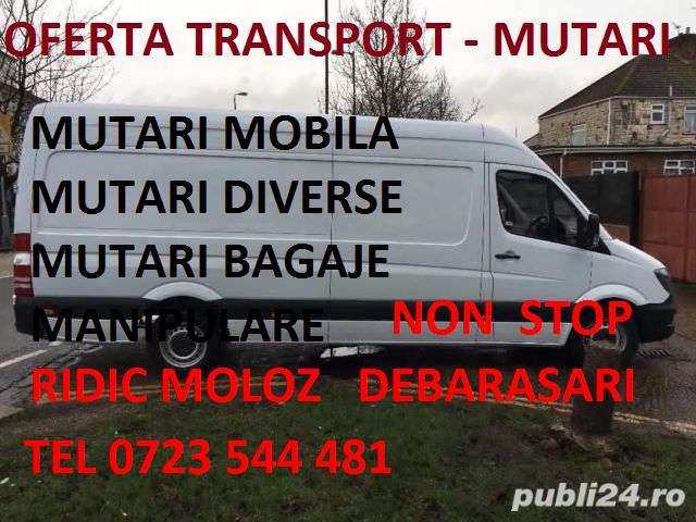 Transport marfa Timisoara l Mutari mobila l Bagaje l Debarasari moloz