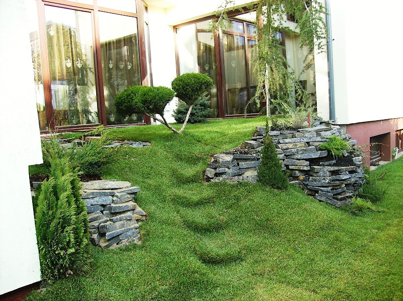 Unique Landscaping