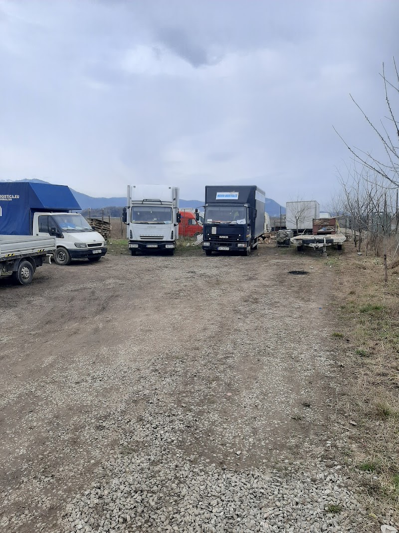 Vicoso Logistica srl