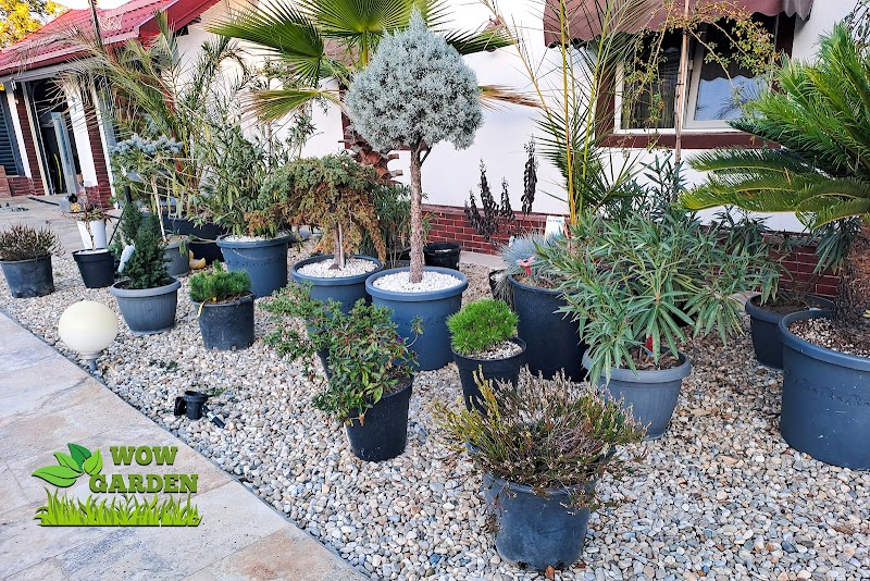 WOW Garden